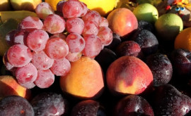 Чем обусловлен успех экспортеров молдавской сливы и винограда