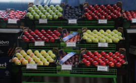 Власти и производители фруктов Молдовы обсудили проблемы отрасли