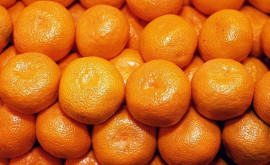 De ce se scumpesc mandarinele în Moldova