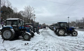 Боцан Фермеры протестуют достойно
