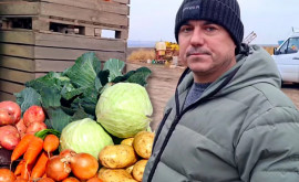 Un agricultor din Telenești stă cu roada în depozit Distrugem tot ce e autohton