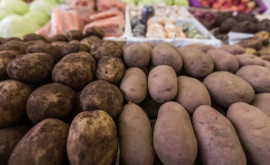 Moldova este principalul importator de cartofi ucraineni 