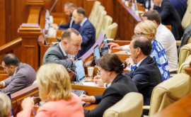 Documente doar în limba de stat Răspunsul guvernului despre eventuala discriminare a parlamentarilor vorbitori de rusă