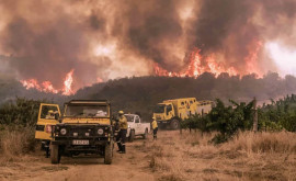 Incendiile fac ravagii în Africa de Sud în plin sezon turistic 
