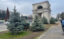 Власти объясняют почему они cрубили деревья возле Триумфальной арки в центре столицы 