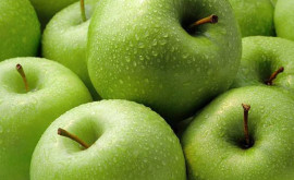 Как эмбарго и проблемы с морскими поставками сказались на цене молдавских яблок