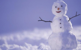 Acesta este cel mai mic om de zăpadă Poate fi văzut doar la microscop FOTO