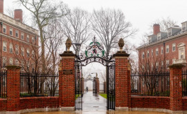 Scandal de proporții la Harvard Ce se întîmplă