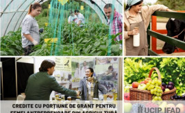 Noi granturi pentru femei antreprenoare în agricultură