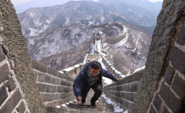 Открытие ученых Живая кожа защищает Великую Китайскую стену