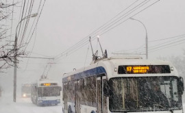Общественный транспорт в Кишиневе не будет ходить до конца дня