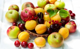 Впечатляющий рост экспорта молдавских фруктов 