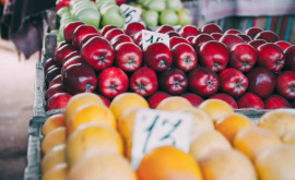 Насколько увеличился экспорт молдавских фруктов в 2023 году