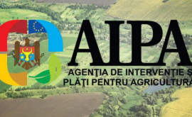 AIPA A fost lansat apelul de depunere a cererilor de solicitare a subvenției în avans