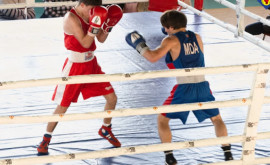  Cele mai bune fotografii de la Campionatul Național de Box al Moldovei
