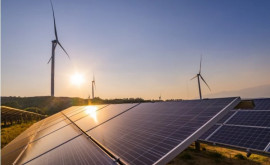 Licitațiile de construcție a capacităților mari de energie regenerabilă 