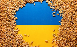Un nou embargo pentru cerealele ucrainene
