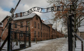 Mai sînt în viață circa 245 mii de supraviețuitori ai Holocaustului în peste 90 de țări raport