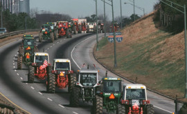 Протесты фермеров поддерживает большинство французов