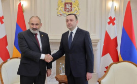 Georgia și Armenia vor deveni parteneri strategici