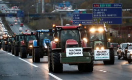 Министр сельского хозяйства Франции сообщит о новых мерах поддержки фермеров