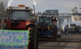 Протесты фермеров распространились на другие европейские страны