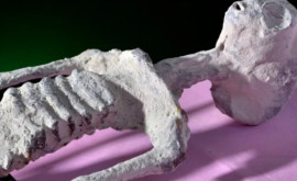Mit desființat Cine erau mumiile extraterestre găsite în deșertul Nazca
