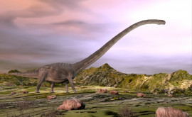 Rămășițe de dinozaur au fost descoperite în China