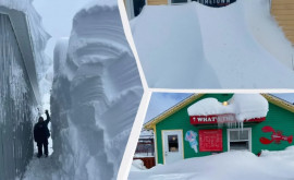 Рекордный снегопад парализовал часть Канады