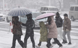 Снежные бури на Китайский Новый год доставили хлопот миллионам жителей Поднебесной