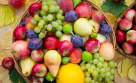 Cetățenii vor avea acces la fructe mai sigure și mai sănătoase