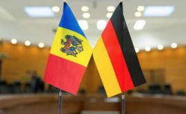 Вырос общий объем торговли между Молдовой и Германией 