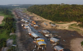Критический момент в Амазонии 47 леса угрожает опасность