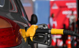 Какими будут цены на бензин и дизтопливо в Молдове на выходных