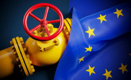Сколько нефти и газа закупили у России страны ЕС и как изменился товарооборот