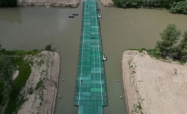 Problemele privind construcția drumului LeovaBumbăta și a podului de pontoane
