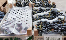 Новый рекорд Молдавский виноград поставляется в 33 страны 