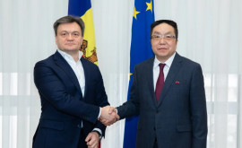 Товарооборот между Молдовой и Китаем растет