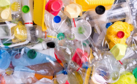 Ученые нашли замену пластику