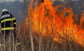 Avertizare Riscul izbucnirii incendiilor de vegetație rămîne în continuare unul mare