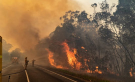 Mai multe oraşe australiene sînt ameninţate de incendii