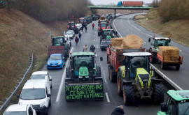 Французские фермеры Мы не остановимся Нам нужны конкретные предложения