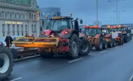 Протестующие фермеры стянули в Прагу сотни тракторов