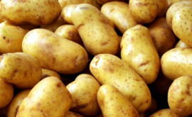 Studiu La ce poate duce excluderea cartofilor din alimentație