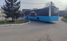 В столице может открыться новый муниципальный автобусный маршрут