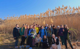 Tineri responsabili elevii unui gimnaziu au plantat copaci de salcie 