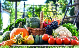 Un pas important pentru legumicultura din Republica Moldova