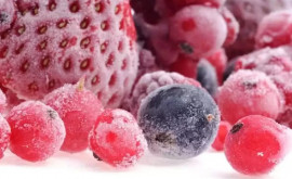 Какой объем замороженных ягод экспортировала Молдова 