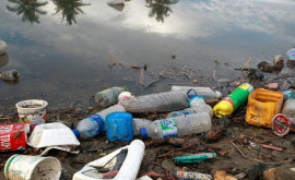 Legătură mortală poluarea cu plastic și schimbările climatice