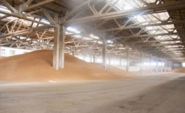 Agenția Rezerve Materiale anunță concurs cu privire la eliberarea grîului alimentar din rezervele de stat 